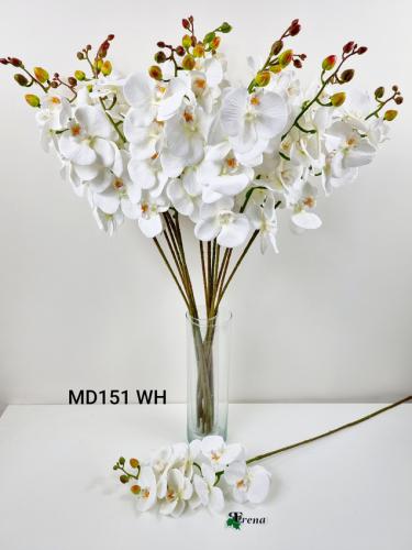 MD151 WHITE