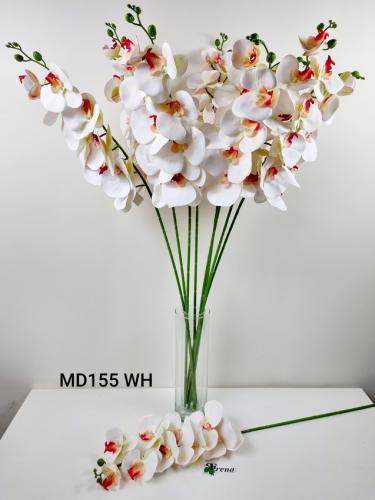 MD155 WHITE