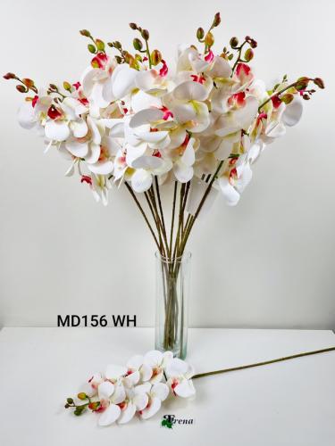 MD156 WHITE