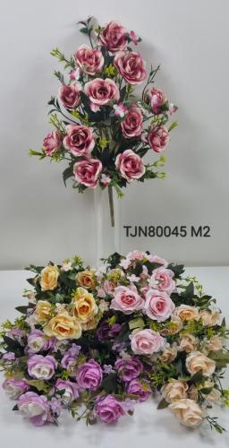 TJN80045 M2