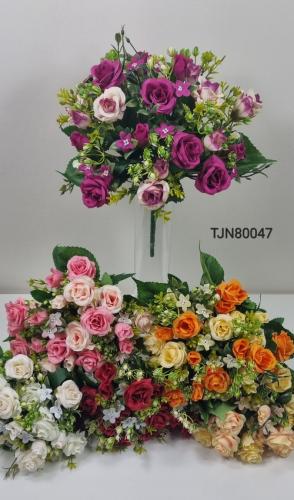 TJN80047