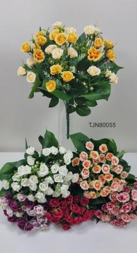TJN80055